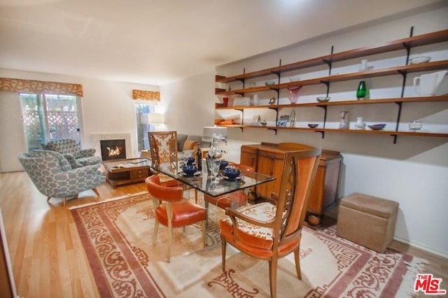 interior space with wood-type flooring