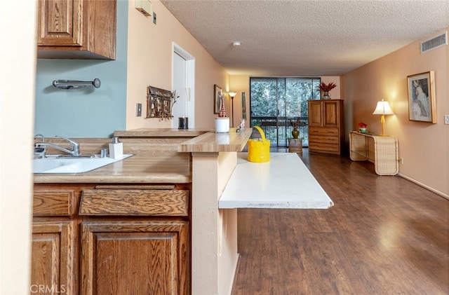 kitchen with dark wood-type flooring, floor to ceiling windows, sink, and a textured ceiling