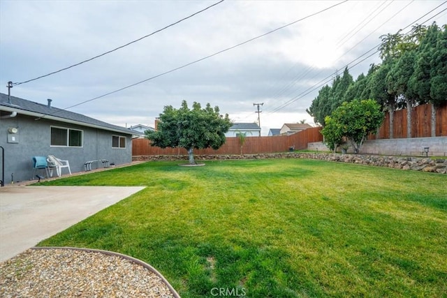 view of yard featuring a patio