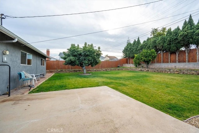 view of yard with a patio area