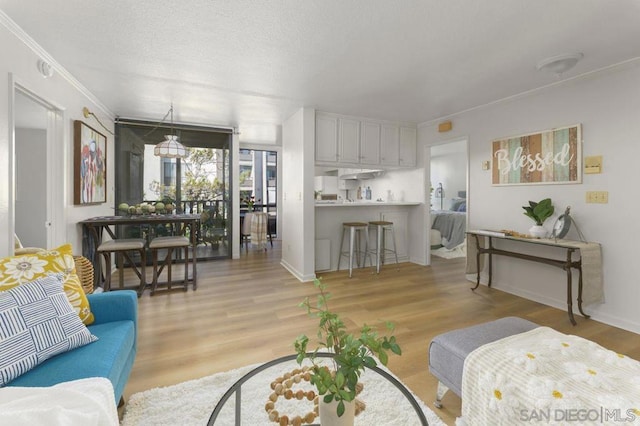 living room with ornamental molding and light hardwood / wood-style flooring