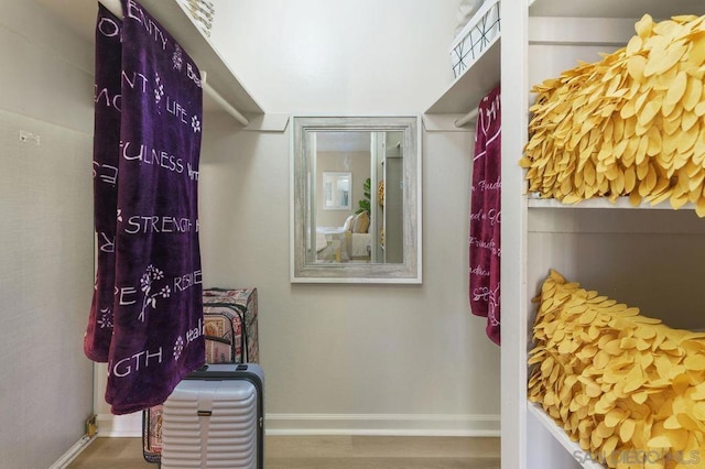 walk in closet featuring hardwood / wood-style flooring