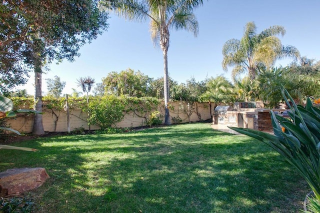 view of yard featuring exterior kitchen