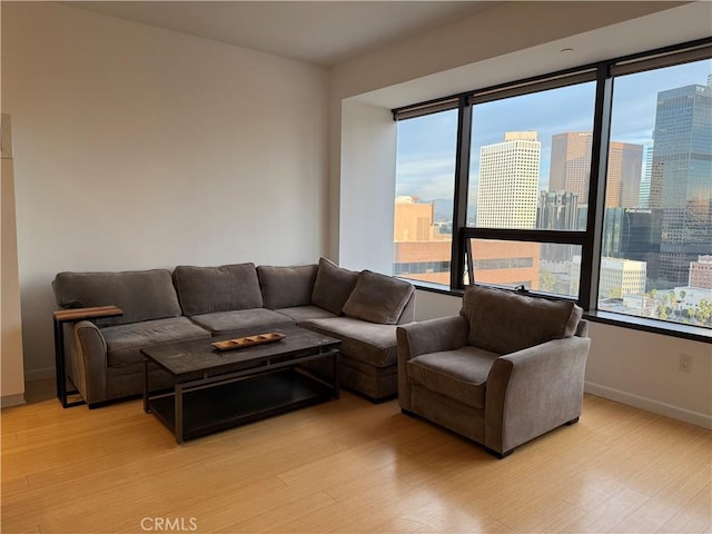 living room with light hardwood / wood-style flooring