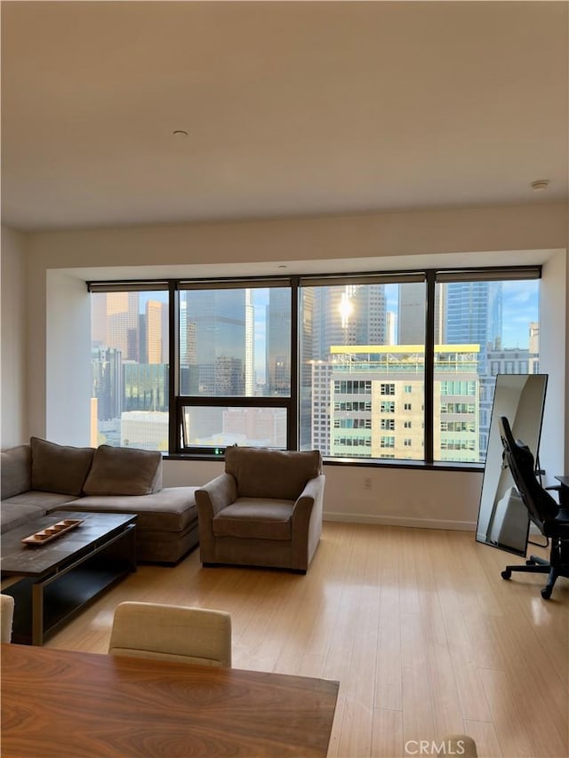 living room featuring light hardwood / wood-style flooring