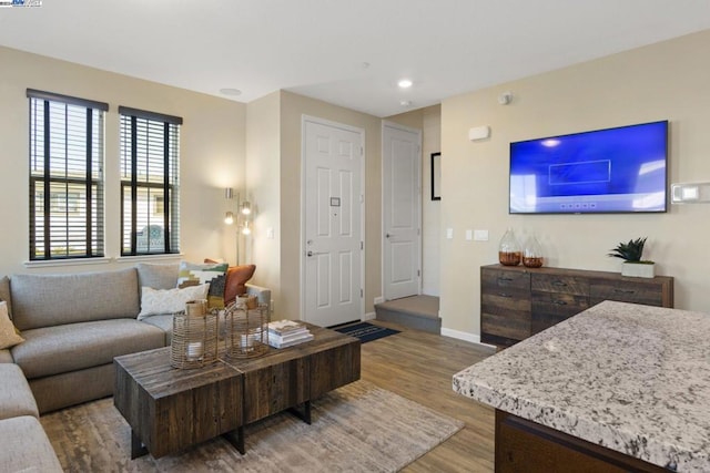 living room featuring hardwood / wood-style flooring