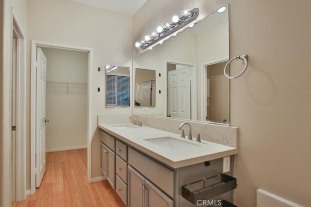 bathroom featuring hardwood / wood-style floors and vanity