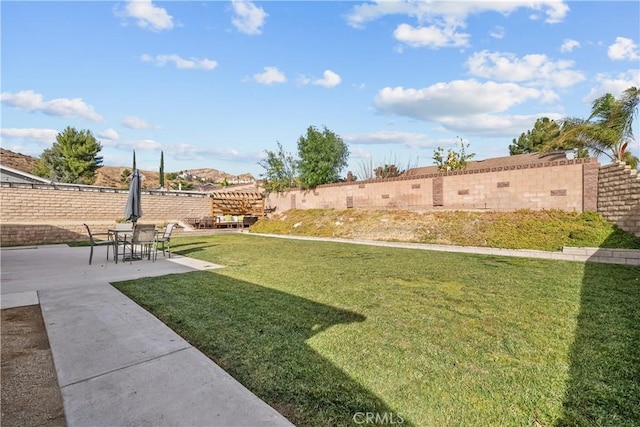 view of yard with a patio