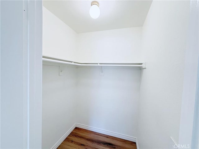 spacious closet featuring dark hardwood / wood-style floors