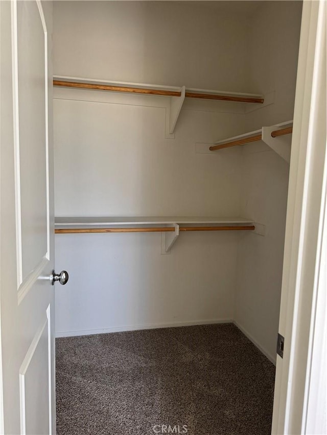 walk in closet with carpet floors