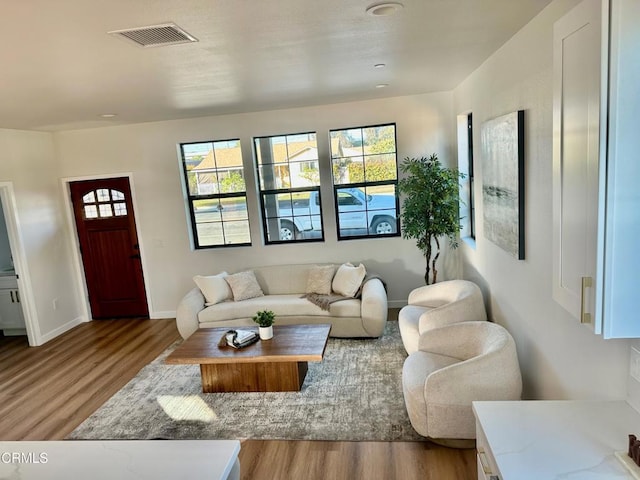 living room featuring light hardwood / wood-style flooring