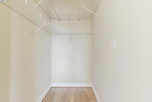 walk in closet featuring wood-type flooring