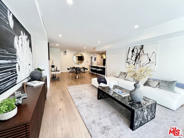 living room featuring light hardwood / wood-style flooring