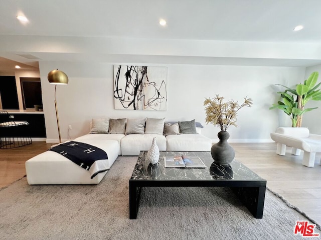 living room with wood-type flooring