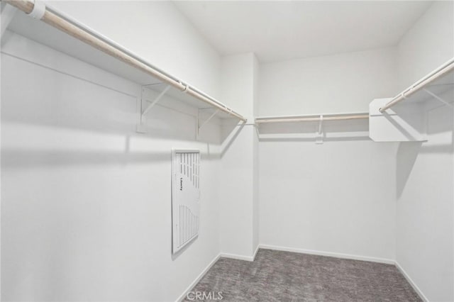 34260 Summer Ln, Yucaipa, CA 92399 - walk in closet featuring carpet floors