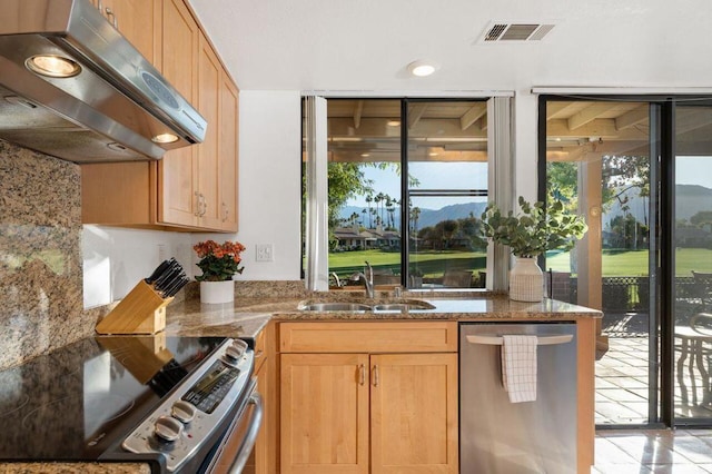 kitchen featuring range hood, a wealth of natural light, stainless steel appliances, and sink