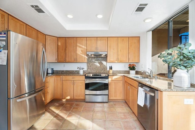 kitchen featuring stainless steel appliances, sink, backsplash, a raised ceiling, and light stone counters