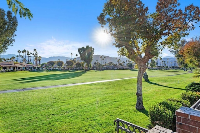 view of property's community with a lawn