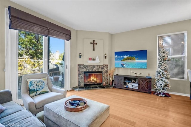 living room with wood-type flooring and a fireplace