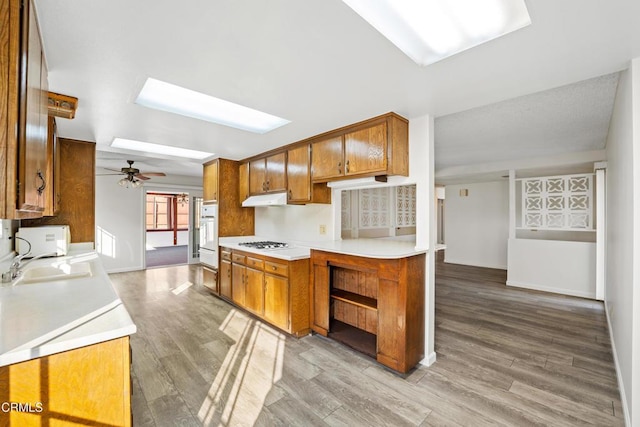 kitchen with light wood-type flooring, a skylight, sink, and white appliances