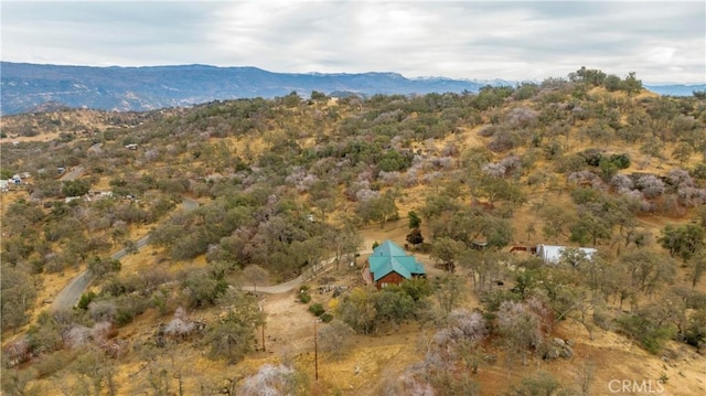 aerial view with a mountain view