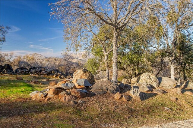 view of nature with a mountain view