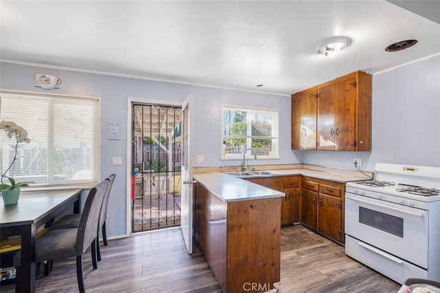 kitchen with kitchen peninsula, sink, dark wood-type flooring, white gas stove, and ornamental molding