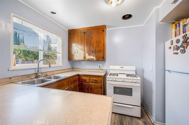 kitchen featuring sink, white appliances, dark hardwood / wood-style flooring, and ornamental molding