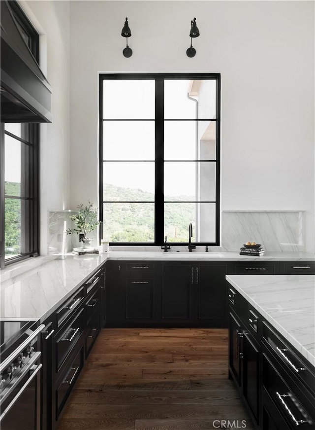 kitchen with light stone countertops, sink, stove, and dark wood-type flooring