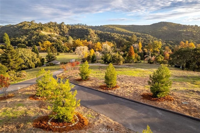 6550 Squire Knoll Rd, San Luis Obispo, CA 93401 - photo 62