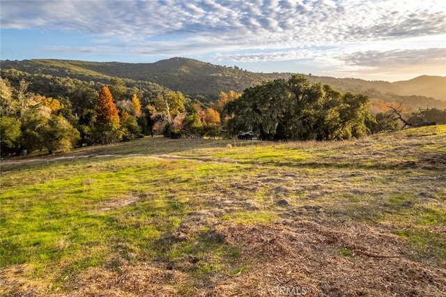 6550 Squire Knoll Rd, San Luis Obispo, CA 93401 - photo 64