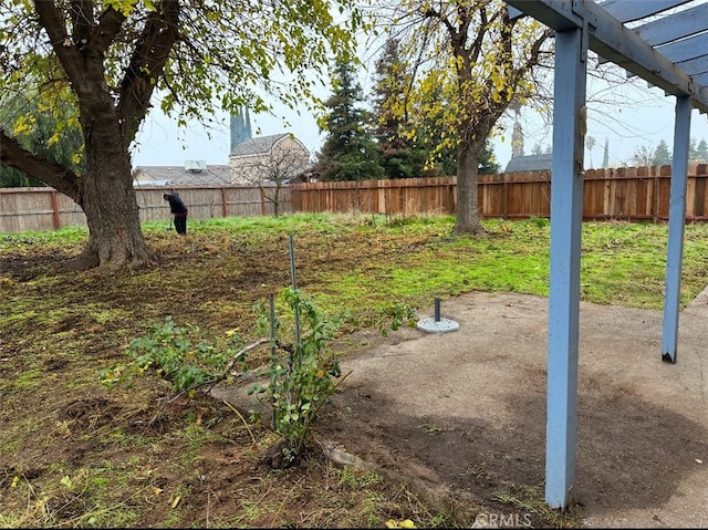 view of yard featuring a patio