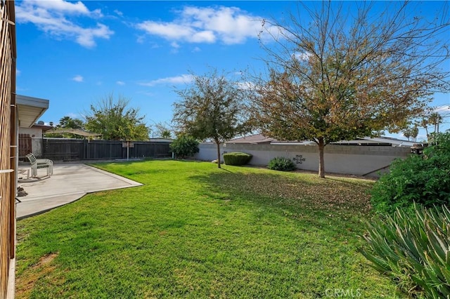 view of yard featuring a patio