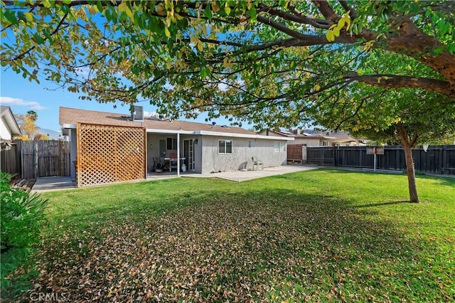 rear view of property featuring a patio area and a yard