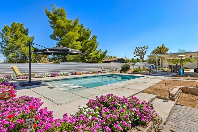 view of swimming pool featuring a patio area