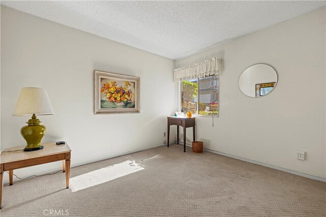 carpeted spare room with a textured ceiling