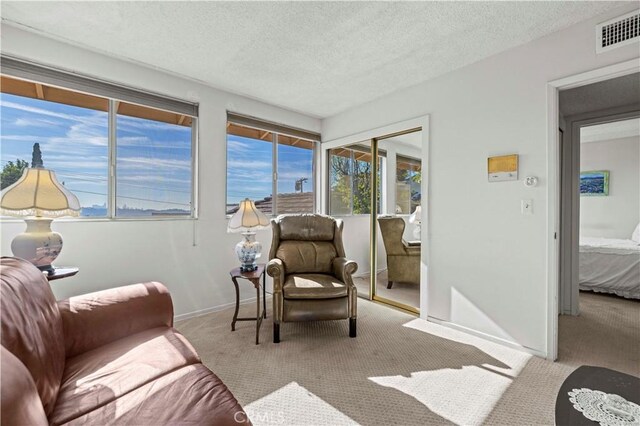 sitting room featuring light carpet and a textured ceiling