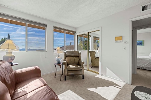 sitting room featuring light colored carpet and a textured ceiling