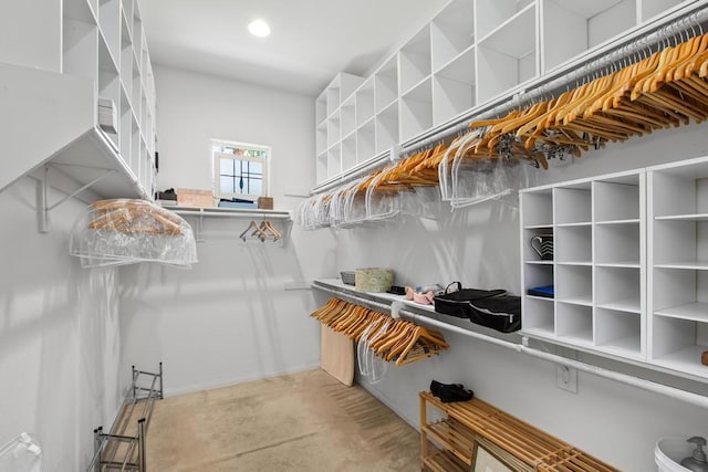 walk in closet featuring carpet floors