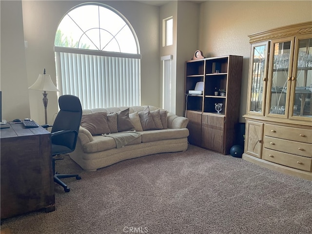 view of carpeted office