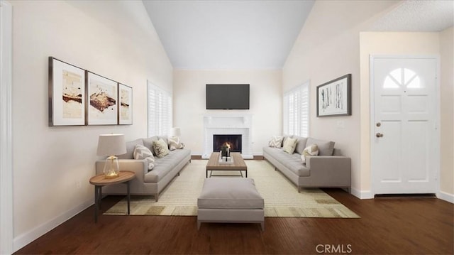 living room with lofted ceiling, a fireplace, and dark hardwood / wood-style floors