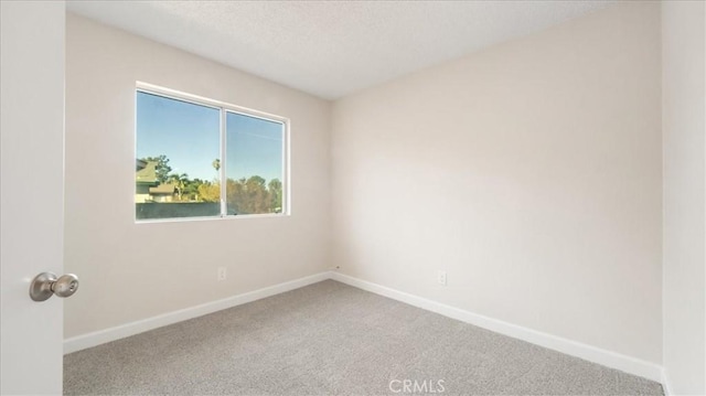 spare room featuring carpet floors