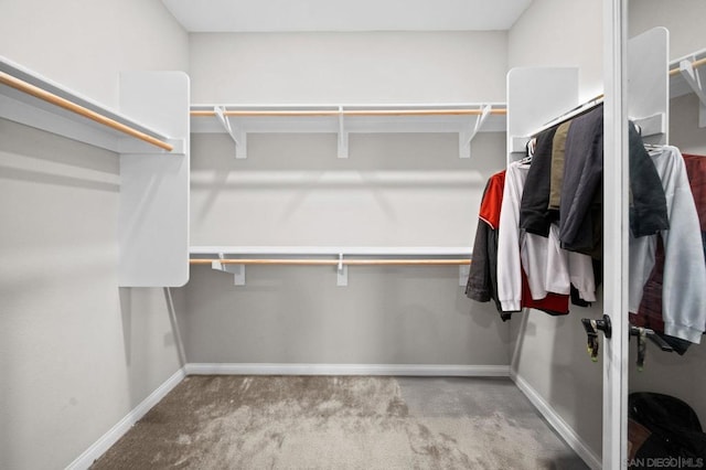 spacious closet with light colored carpet