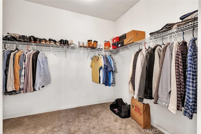 spacious closet with carpet floors