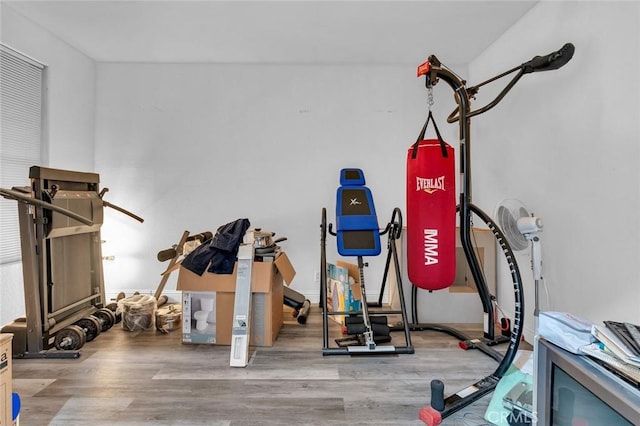 workout area with light hardwood / wood-style flooring