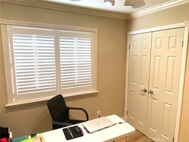 home office featuring a wealth of natural light and ornamental molding