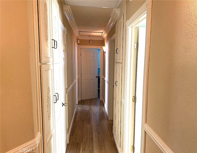 hall with ornamental molding and dark hardwood / wood-style floors