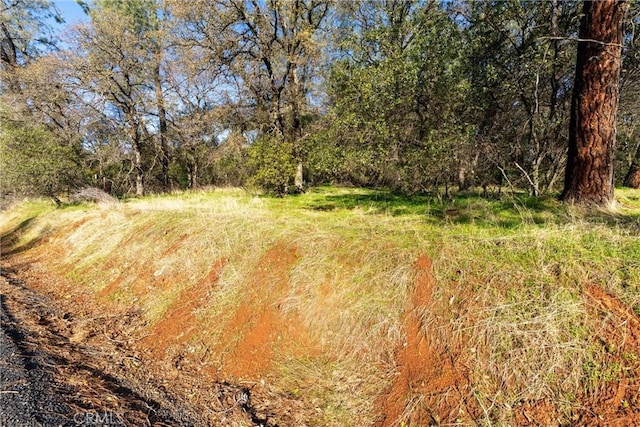 view of landscape