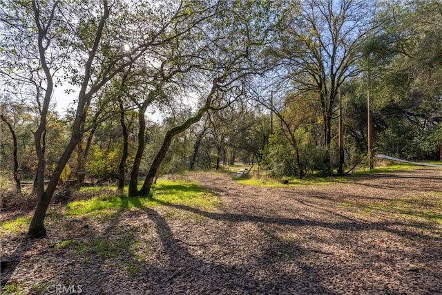 view of local wilderness