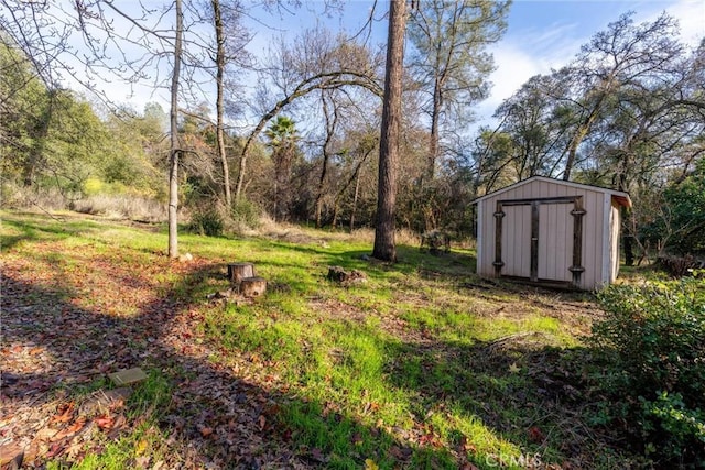 view of yard with a storage shed